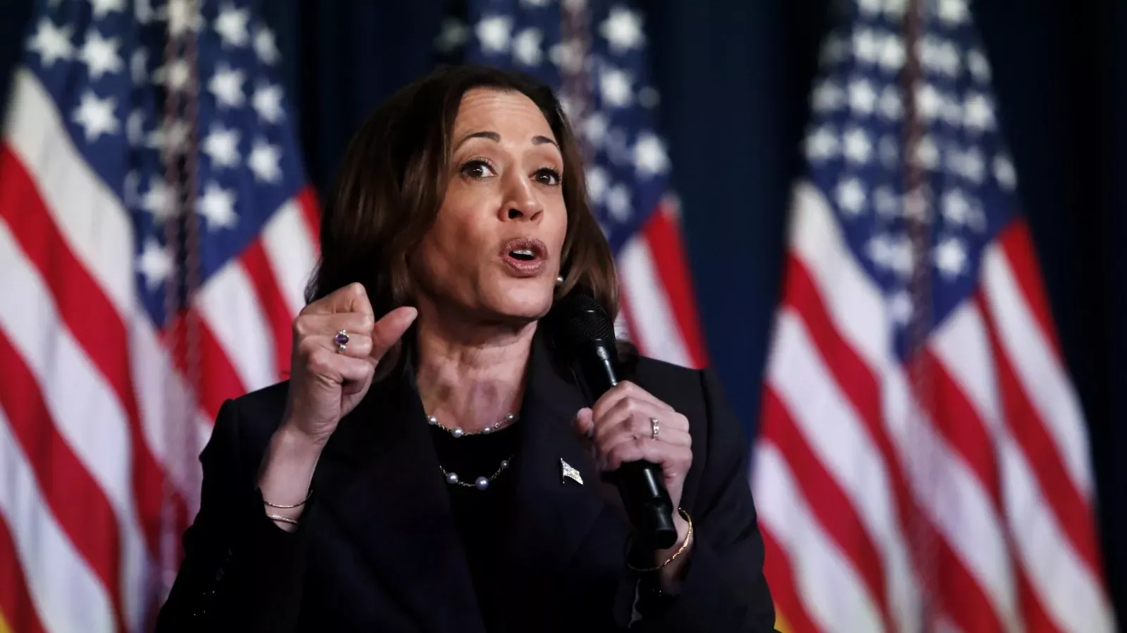 Nikki Haley voters PAC announces support for Kamala Harris